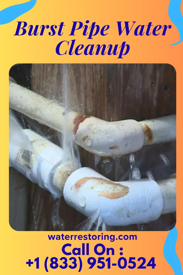 Burst Pipe Water Cleanup in Boonville, NC