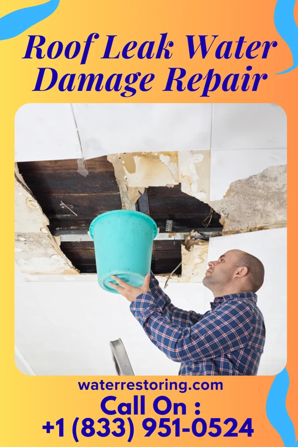 Roof Leak Water Damage Repair in Boonville, NC