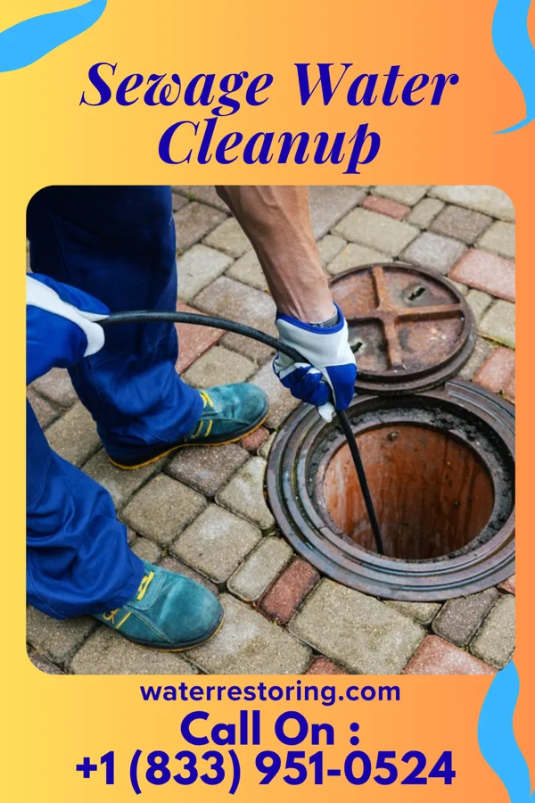 Sewage Water Cleanup in Boonville, NC
